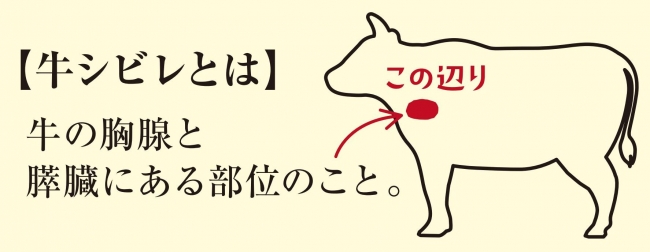 【牛シビレとは】牛の胸腺と膵臓にある部位のこと。