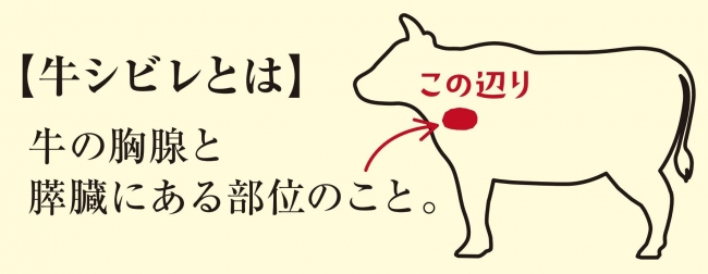 【牛シビレとは】牛の胸腺と膵臓にある部位のこと。