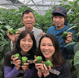 親子二代でちぐさピーマンを栽培する、菅原さん一家